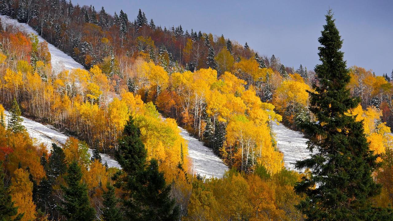 Les Bouleaux - Les Chalets Spa Canada La Malbaie Eksteriør billede